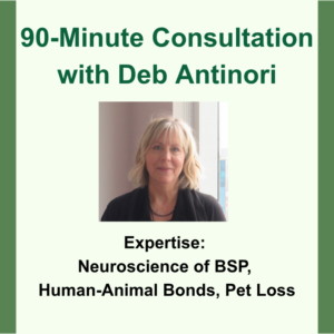 90-minute consultation with Deb Antinori. Headshot image of Deb. Expertise: Neuroscience of BSP, Human-Animal Bond, Pet Loss