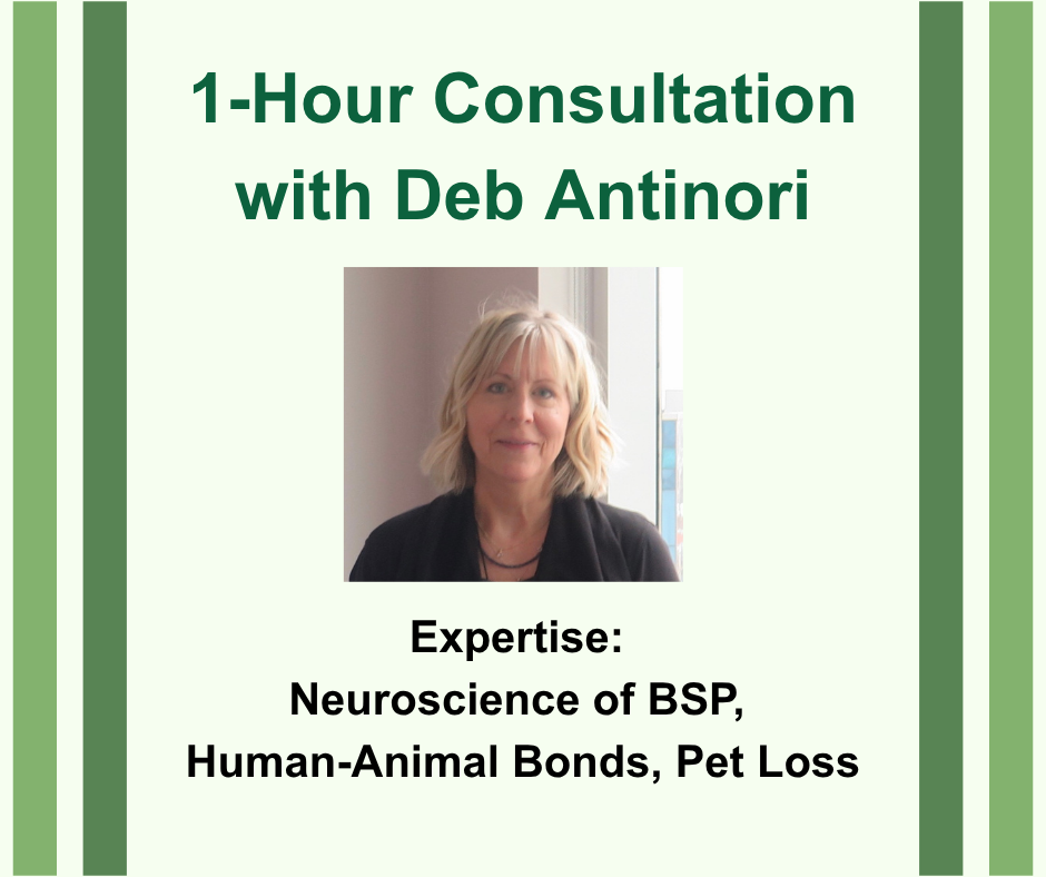 Deb Consult Value: $300